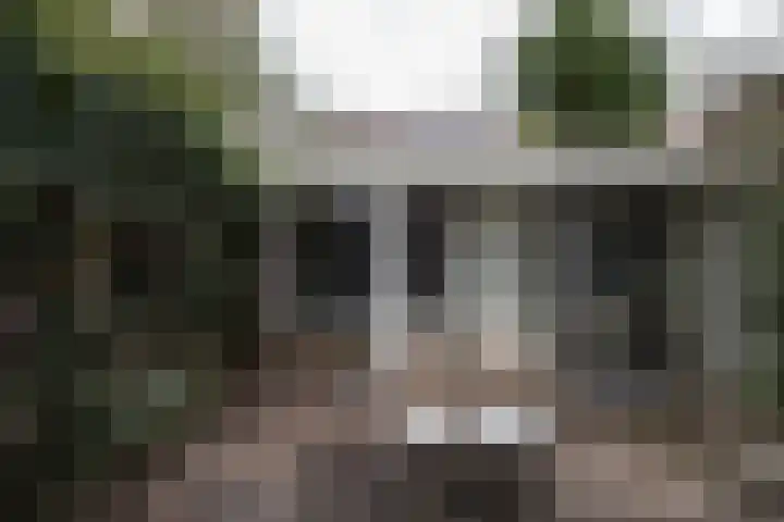 Dr. H. Th. s' Jacoblaan 61 Utrecht thumbnail 27