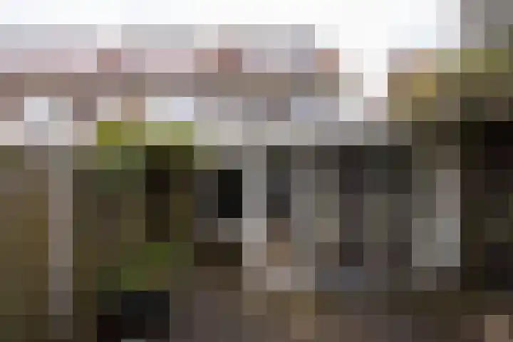 Dr. H. Th. s' Jacoblaan 61 Utrecht thumbnail 32