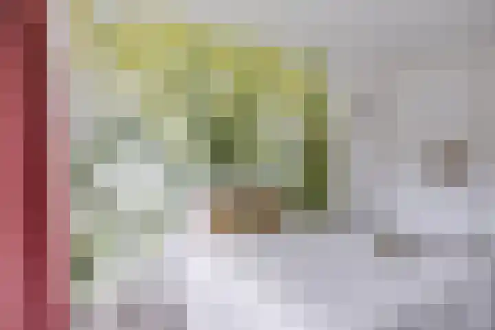 Dr. H. Th. s' Jacoblaan 61 Utrecht thumbnail 38