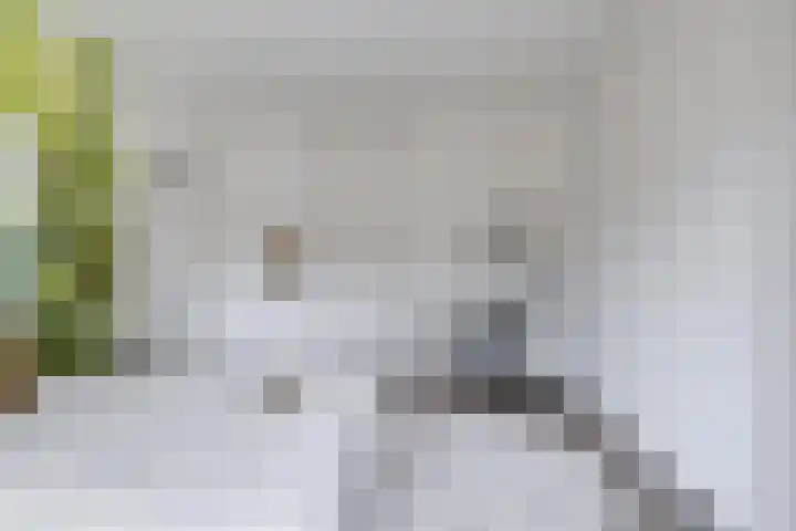 Dr. H. Th. s' Jacoblaan 61 Utrecht thumbnail 39