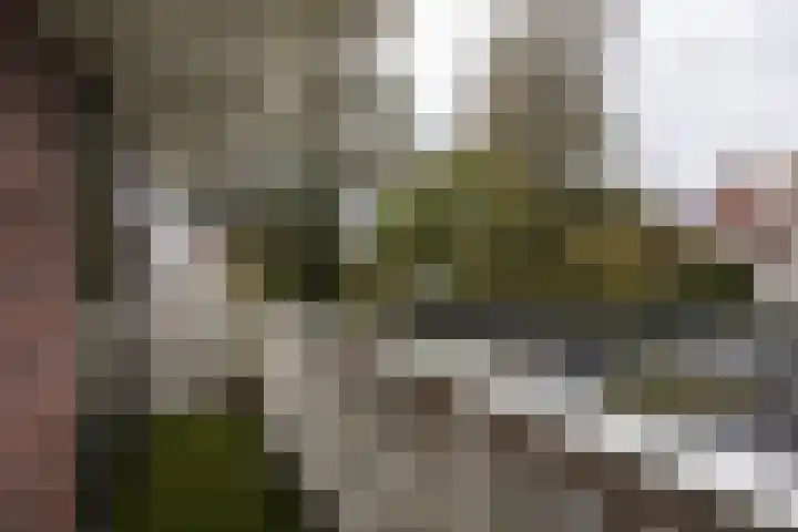 Dr. H. Th. s' Jacoblaan 61 Utrecht thumbnail 40