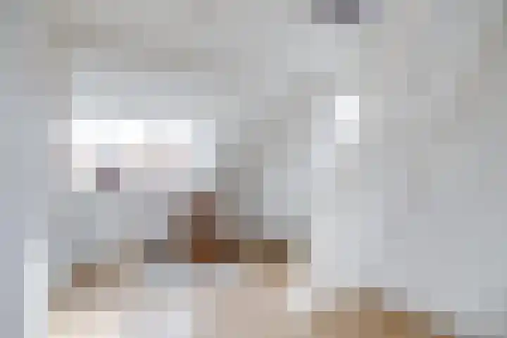 Dr. H. Th. s' Jacoblaan 61 Utrecht thumbnail 55