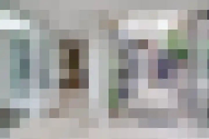 Dr. H. Th. s' Jacoblaan 61 Utrecht thumbnail 64