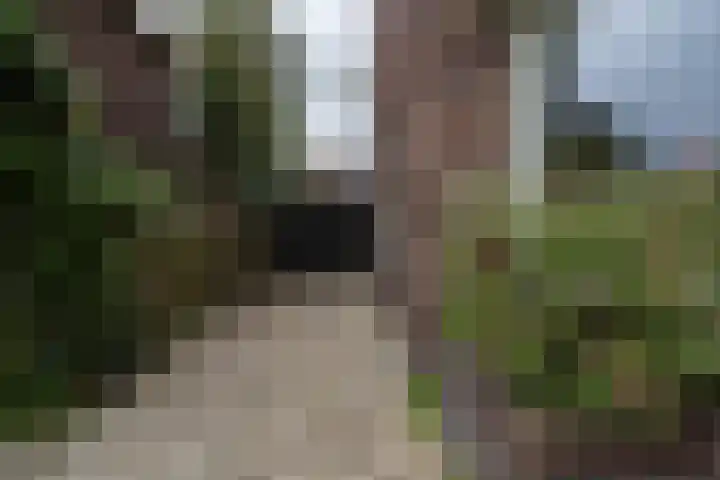 Dr. H. Th. s' Jacoblaan 61 Utrecht thumbnail 68