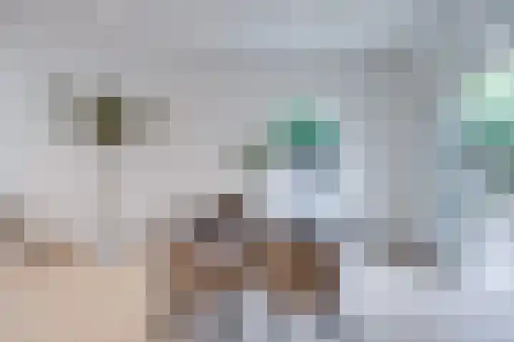 Dr. H. Th. s' Jacoblaan 61 Utrecht thumbnail 9