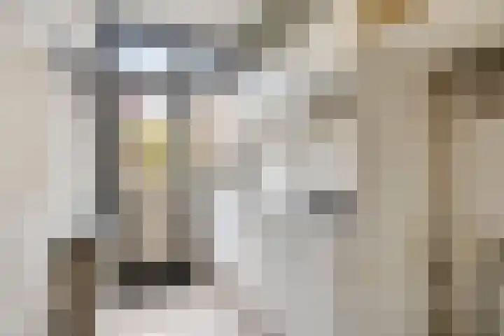 Dr. H. Th. s' Jacoblaan 68 Utrecht thumbnail 16
