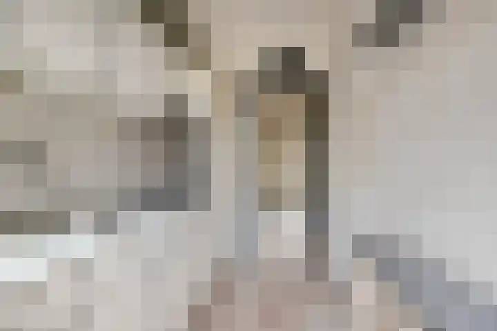 Dr. H. Th. s' Jacoblaan 68 Utrecht thumbnail 17