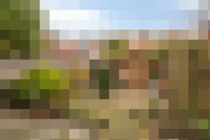 Dr. H. Th. s' Jacoblaan 68 Utrecht thumbnail 18