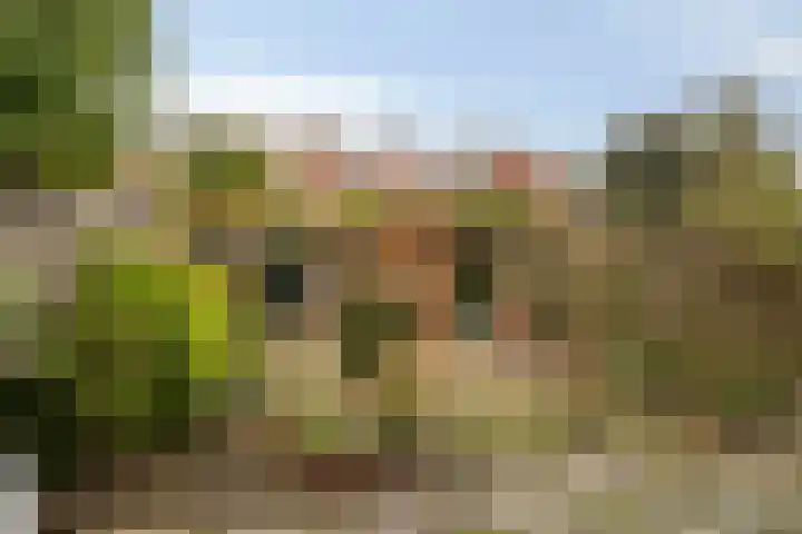 Dr. H. Th. s' Jacoblaan 68 Utrecht thumbnail 19