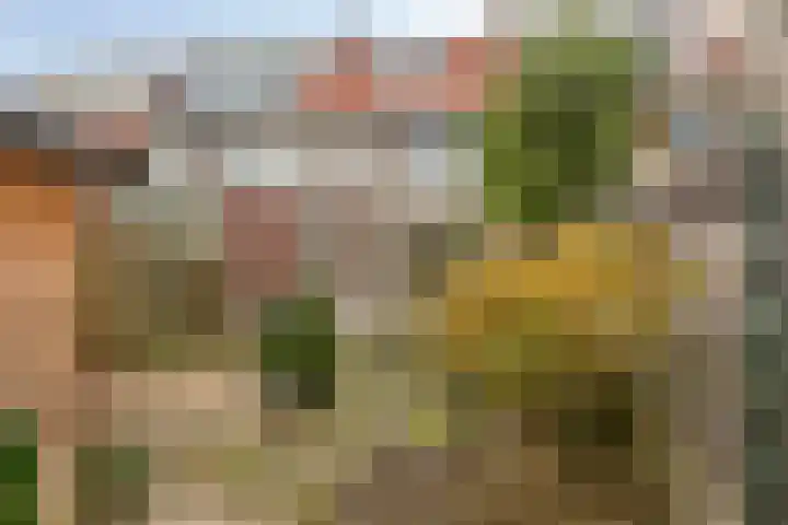 Dr. H. Th. s' Jacoblaan 68 Utrecht thumbnail 20