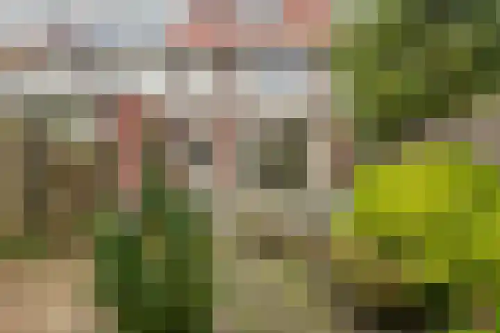 Dr. H. Th. s' Jacoblaan 68 Utrecht thumbnail 21