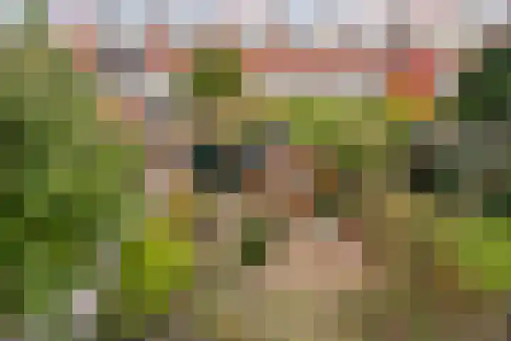 Dr. H. Th. s' Jacoblaan 68 Utrecht thumbnail 29
