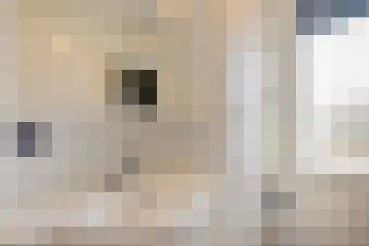 Dr. H. Th. s' Jacoblaan 68 Utrecht thumbnail 31