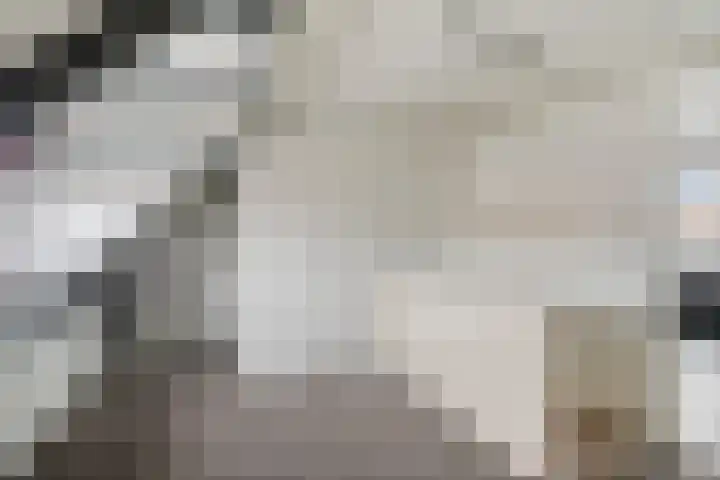 Dr. H. Th. s' Jacoblaan 68 Utrecht thumbnail 34