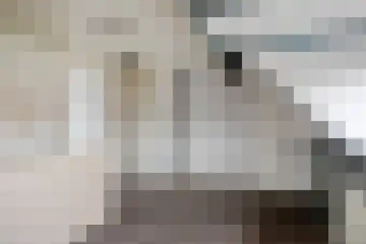 Dr. H. Th. s' Jacoblaan 68 Utrecht thumbnail 35