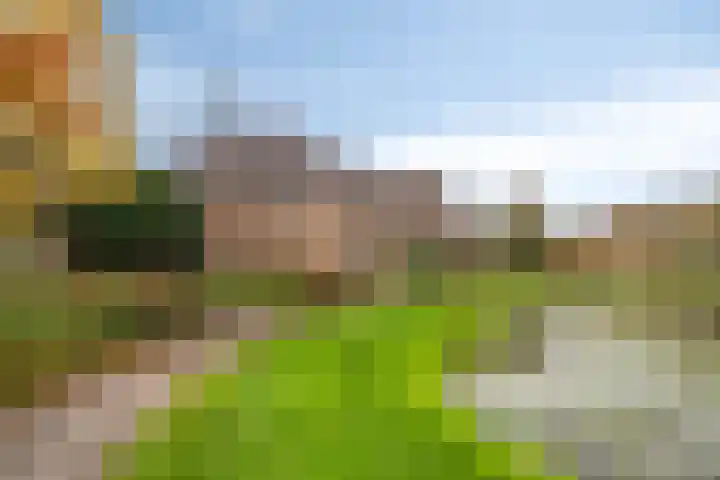 Dr. H. Th. s' Jacoblaan 68 Utrecht thumbnail 39