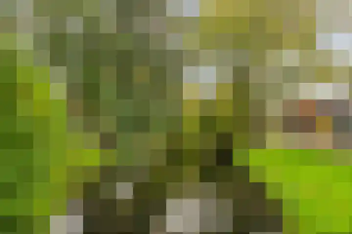 Dr. H. Th. s' Jacoblaan 68 Utrecht thumbnail 40