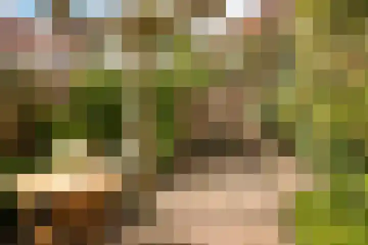 Dr. H. Th. s' Jacoblaan 73 Utrecht thumbnail 39
