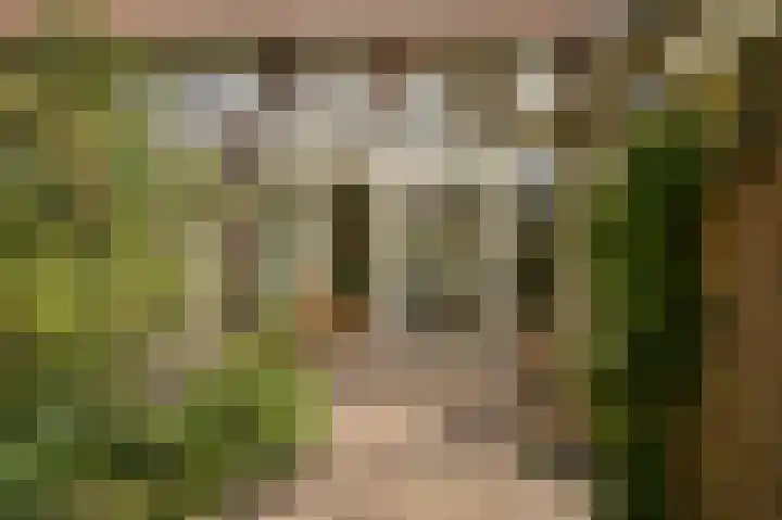 Dr. H. Th. s' Jacoblaan 73 Utrecht thumbnail 42