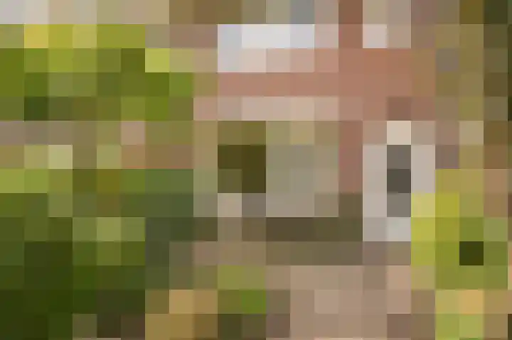 Dr. H. Th. s' Jacoblaan 73 Utrecht thumbnail 43