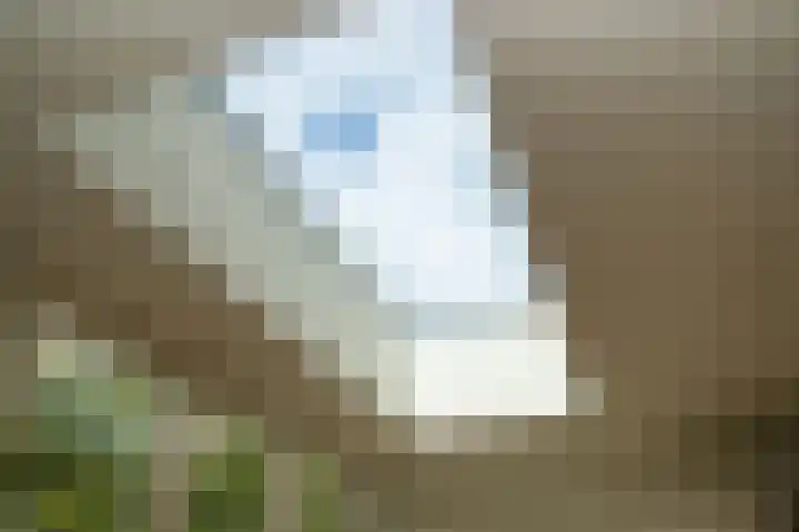 Dr. H. Th. s' Jacoblaan 73 Utrecht thumbnail 7