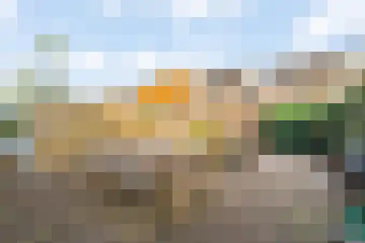 Dr. Hadriaan van Neslaan 80 Noordwijk thumbnail 16