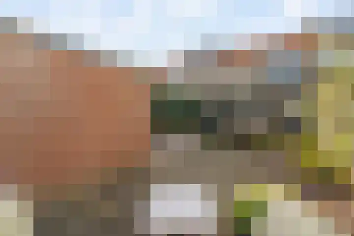Dr. Hadriaan van Neslaan 80 Noordwijk thumbnail 17