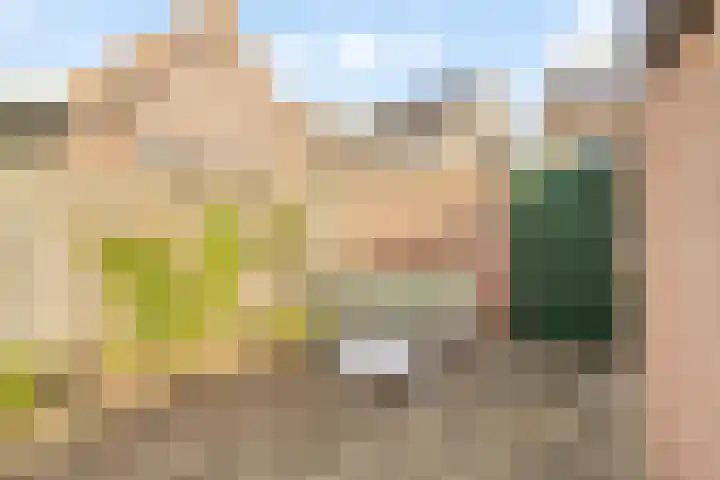 Dr. Hadriaan van Neslaan 80 Noordwijk thumbnail 19