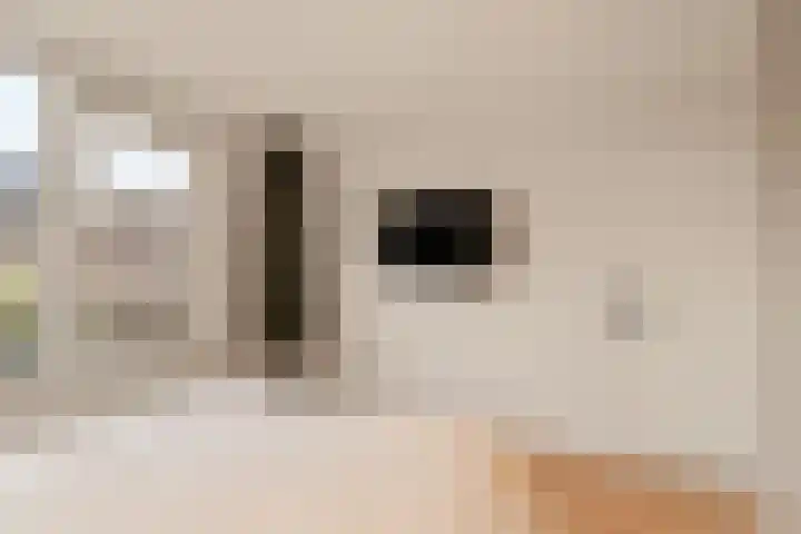 Dr. Hadriaan van Neslaan 80 Noordwijk thumbnail 23