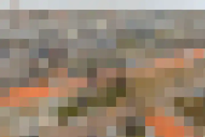Dr. Hadriaan van Neslaan 80 Noordwijk thumbnail 33