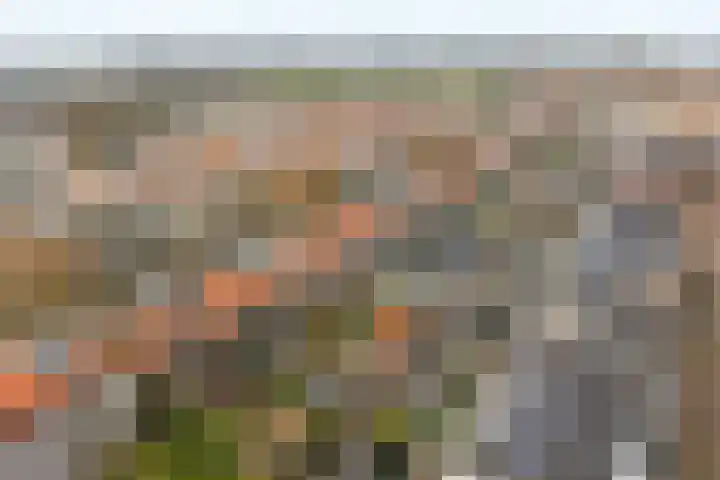 Dr. Hadriaan van Neslaan 80 Noordwijk thumbnail 34