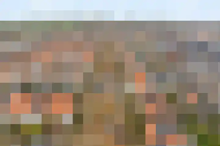 Dr. Hadriaan van Neslaan 80 Noordwijk thumbnail 35