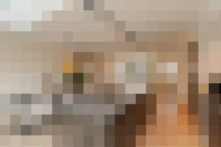 Dr. Hadriaan van Neslaan 86 Noordwijk thumbnail 11