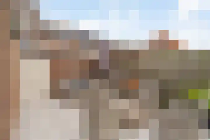 Dr. Hadriaan van Neslaan 86 Noordwijk thumbnail 17
