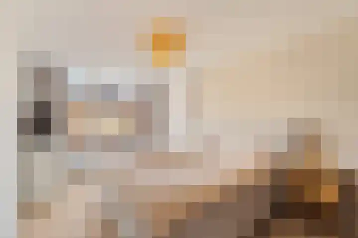 Dr. Hadriaan van Neslaan 86 Noordwijk thumbnail 20