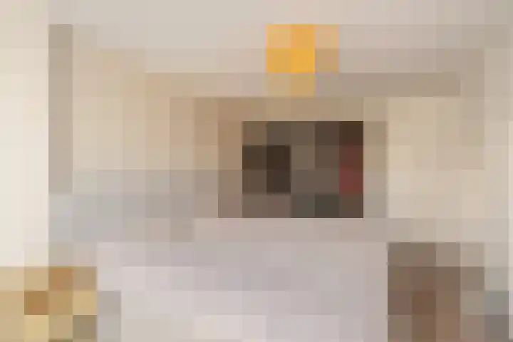 Dr. Hadriaan van Neslaan 86 Noordwijk thumbnail 21