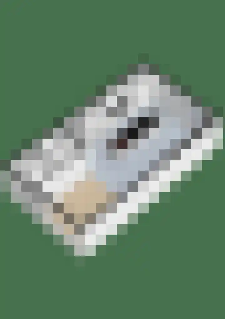 Dr. Hadriaan van Neslaan 86 Noordwijk thumbnail 44