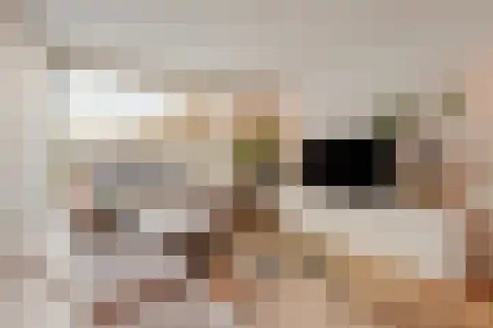 Dr. Hadriaan van Neslaan 86 Noordwijk thumbnail 7