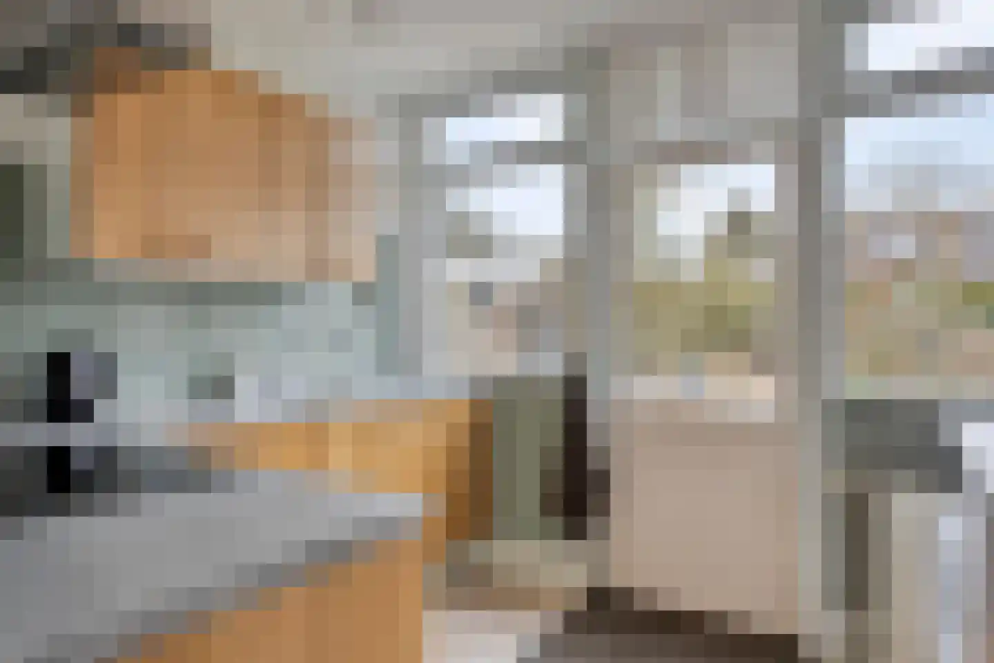 Dr. Harm Smeengestraat 27 Slootdorp thumbnail 11