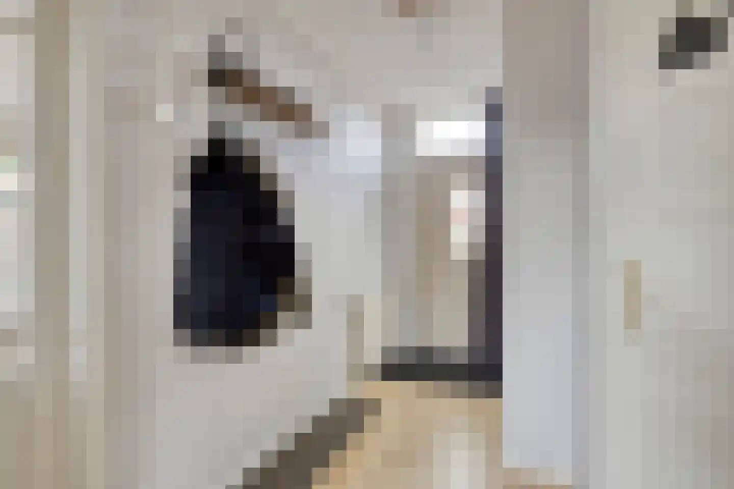 Dr. Harm Smeengestraat 27 Slootdorp thumbnail 13