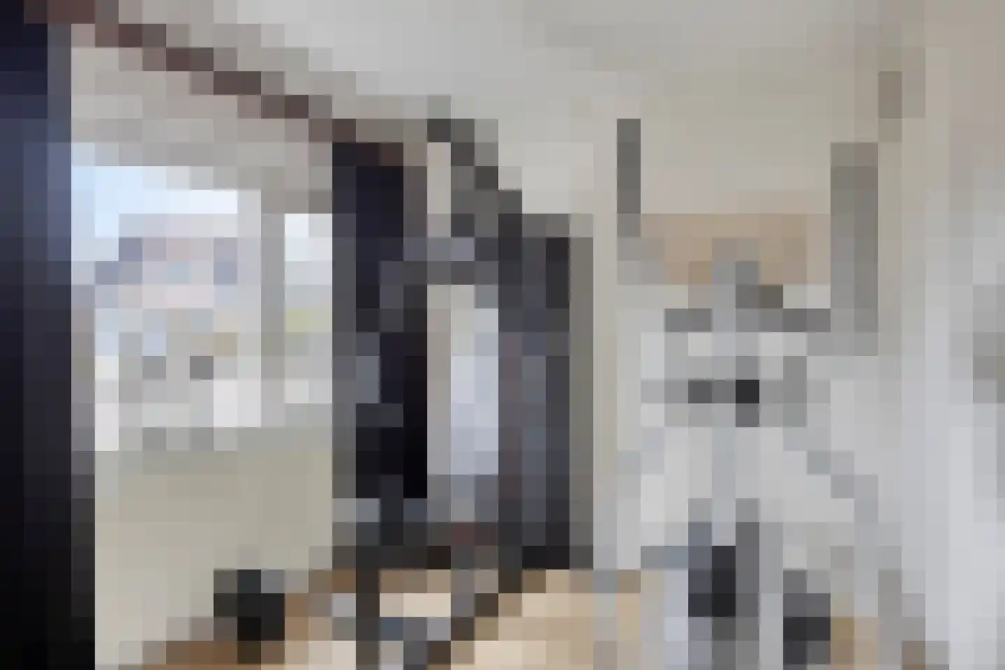 Dr. Harm Smeengestraat 27 Slootdorp thumbnail 17
