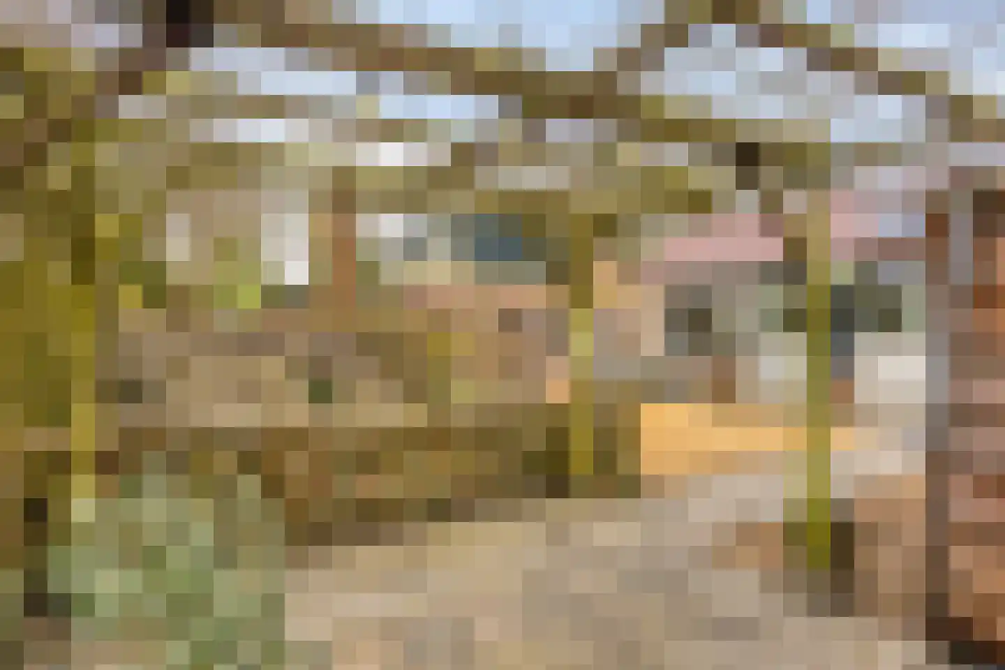 Dr. Harm Smeengestraat 27 Slootdorp thumbnail 25