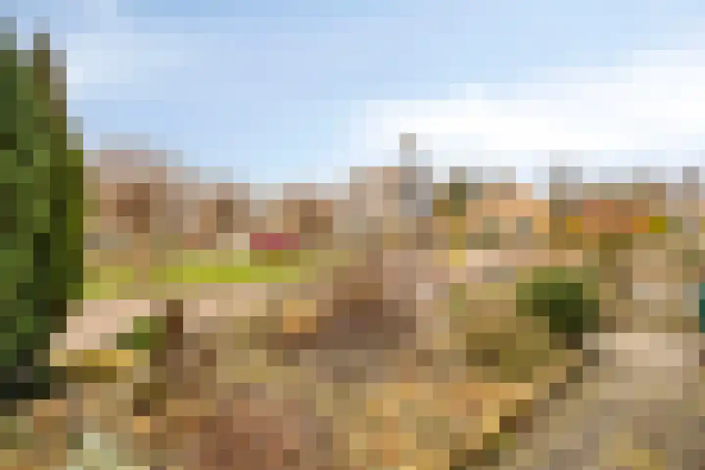 Dr. Harm Smeengestraat 27 Slootdorp thumbnail 29