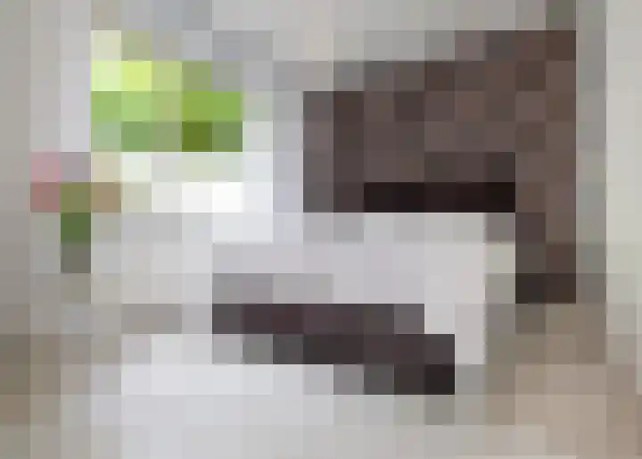 Dr. Harm Smeengestraat 33 Slootdorp thumbnail 18