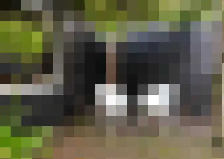 Dr. Harm Smeengestraat 33 Slootdorp thumbnail 44