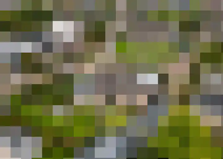 Dr. Harm Smeengestraat 33 Slootdorp thumbnail 5