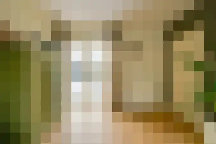 Dr. Harm Smeengestraat 38 Slootdorp thumbnail 11