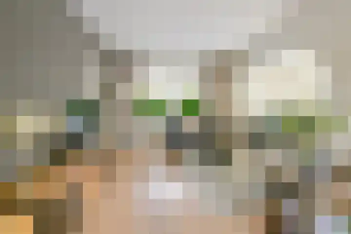 Dr. Harm Smeengestraat 38 Slootdorp thumbnail 8