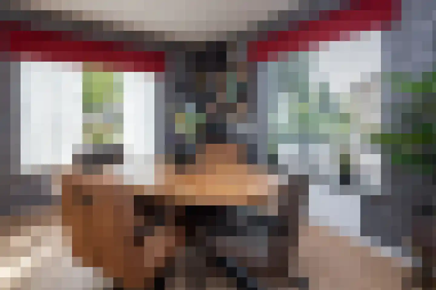 Dr. Harm Smeengestraat 44 Slootdorp thumbnail 10