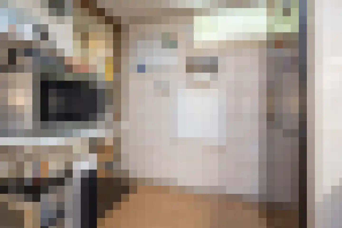 Dr. Harm Smeengestraat 44 Slootdorp thumbnail 15